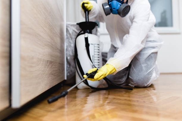 Best Flea Control Services  in Manchester, MD