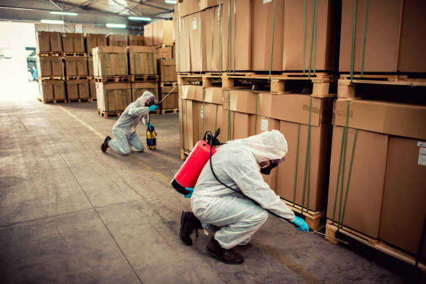 Best Wasp Removal Services  in Manchester, MD