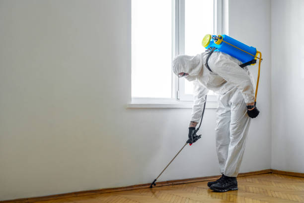 Best Pest Prevention Services  in Manchester, MD