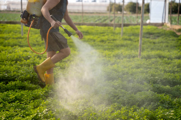 Best Pest Control Treatment  in Manchester, MD