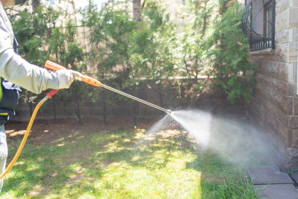 Flea Control Services in Manchester, MD