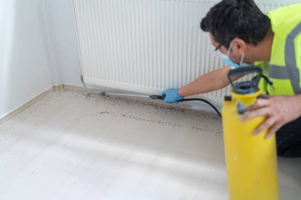 Best Affordable Pest Control Services  in Manchester, MD