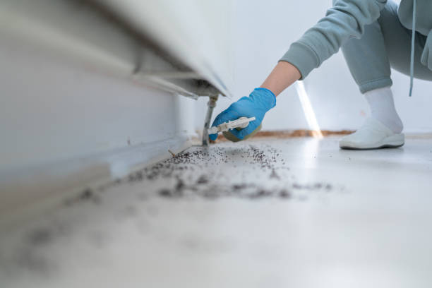 Best Local Pest Control Services  in Manchester, MD